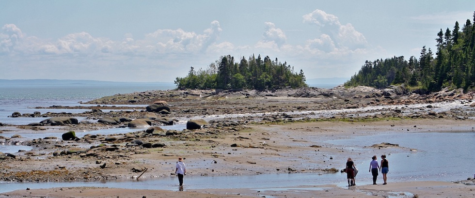 LERE de lEstuaire | 18 Rue Alain Mailloux, La Malbaie, QC G5A 2E7, Canada | Phone: (514) 385-0438