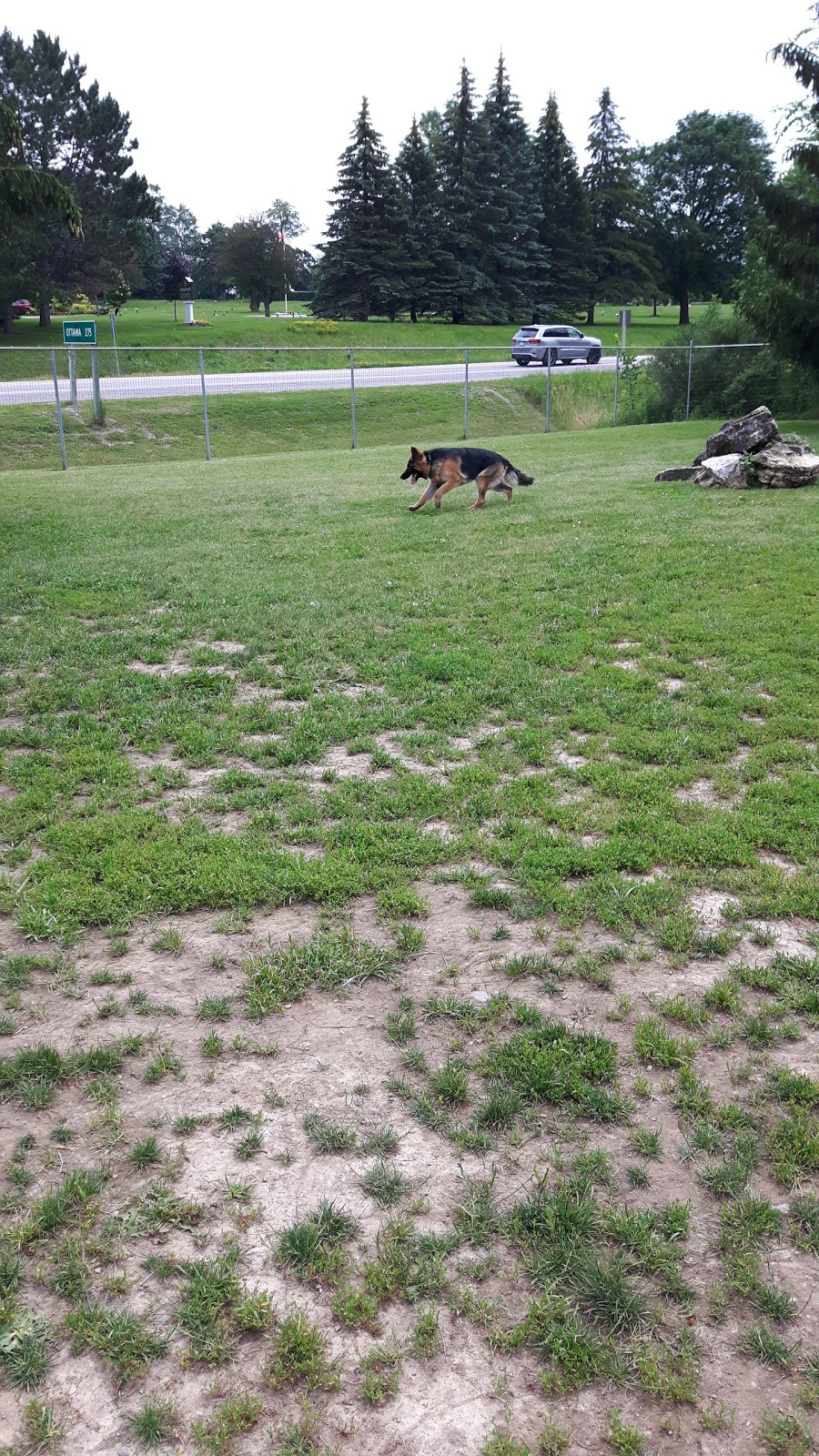 Peterborough West Animal Hospital | 2605 Stewart Line, Cavan, ON L0A 1C0, Canada | Phone: (705) 745-4800