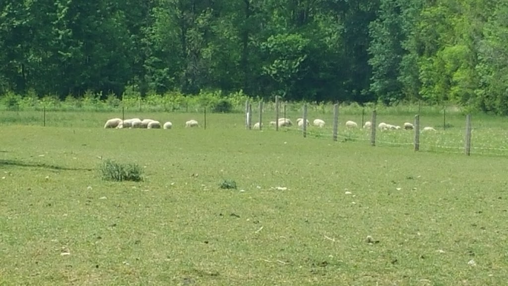 Edible Acres | 21083 Purple Hill Rd, Thorndale, ON N0M 2P0, Canada | Phone: (519) 520-0175