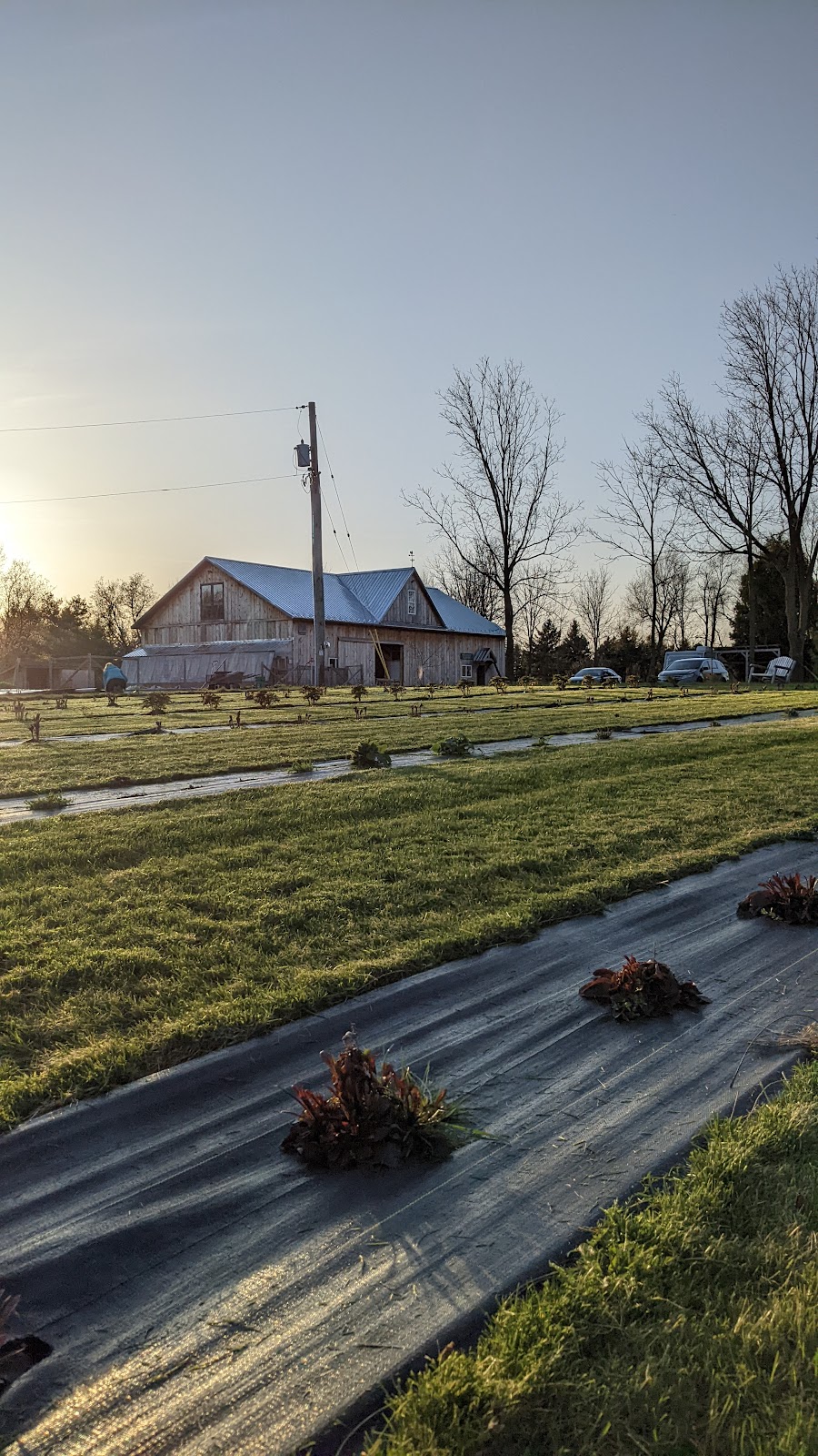 Restoration Acres | 419 Concession 4 W, Hamilton, ON L8B 1J4, Canada | Phone: (905) 630-2364