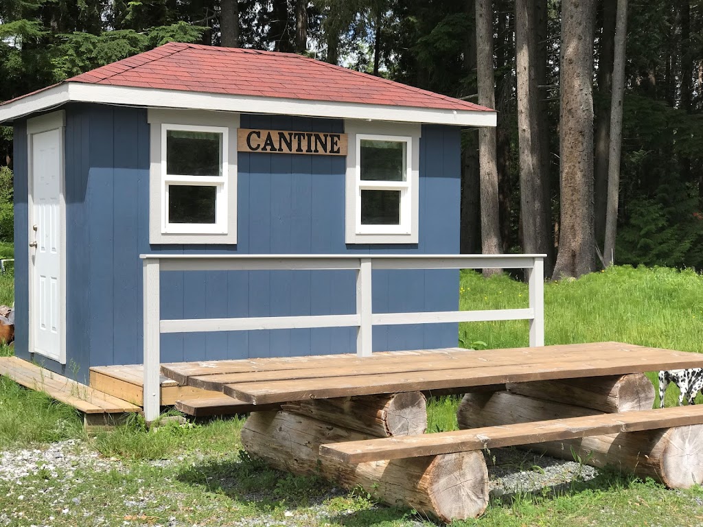 Club Bon Accueil | 5110 Manson Ave, Powell River, BC V8A 3P1, Canada | Phone: (604) 483-3966