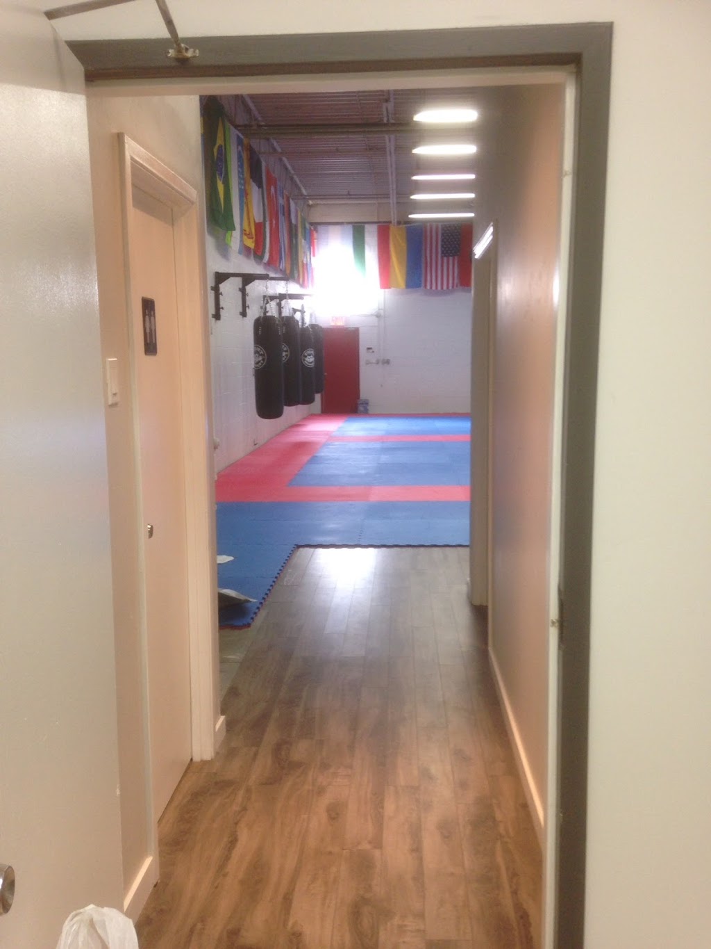 Newtons ITF School of Taekwon-do (Markham) | 100 Amber St Unit 2, Markham, ON L3R 3A2, Canada | Phone: (289) 846-8020