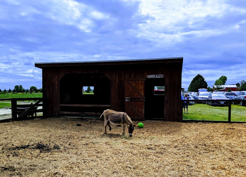Emma Lea Farms 2727 Westham Island Rd, Delta, BC V4K 3N2, Canada