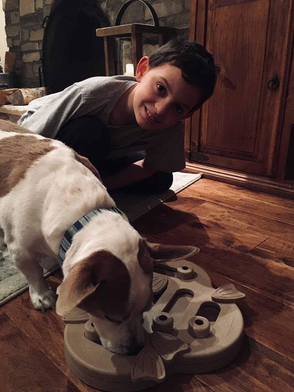 Ravenswood Dog Sitters | 369 Aurora Crescent, Burlington, ON L7N 2B1, Canada | Phone: (647) 702-0046