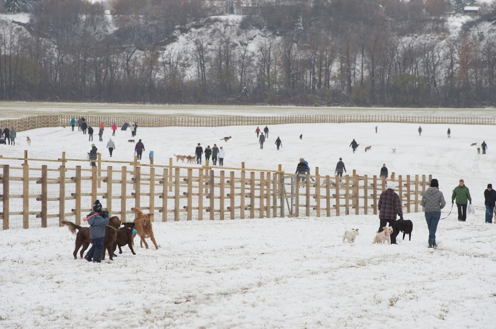 West Rivers Edge Dog Park | Pointe Aux Pins Rd, Fort Saskatchewan, AB T8L 2C5, Canada | Phone: (780) 992-6200