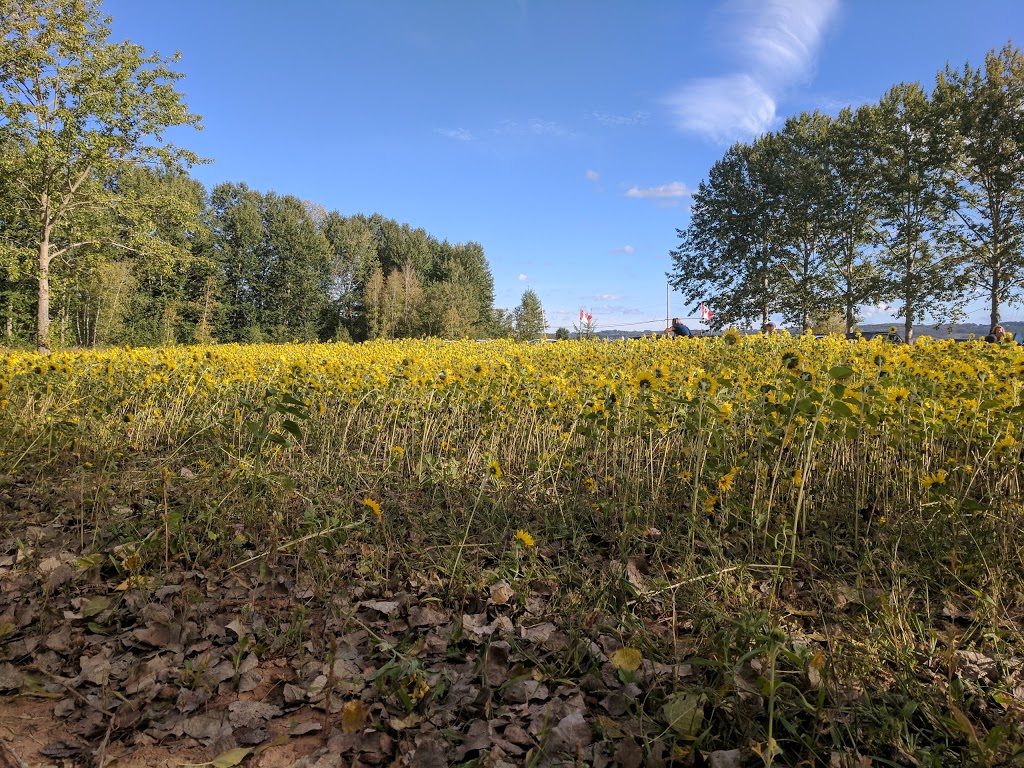 Gates U-pick | 1263 Starrs Point Rd, Port Williams, NS B0P 1T0, Canada | Phone: (902) 542-9340