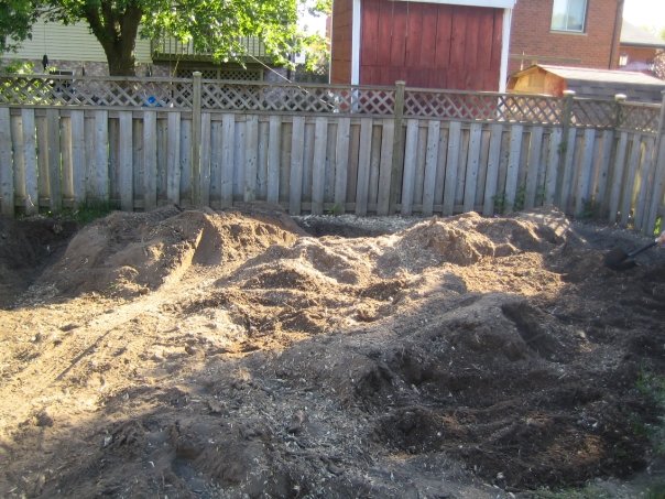 Davey Tree Expert Co. of Canada, Limited | 641 Wright St, Strathroy, ON N7G 3H8, Canada | Phone: (519) 245-1019