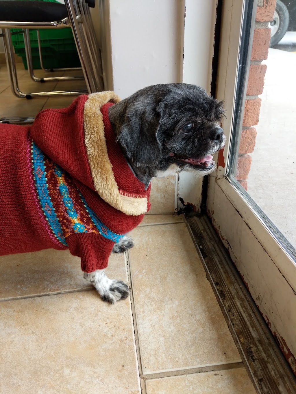 Barton Grays Animal Hospital | 188 Barton St Unit 3, Stoney Creek, ON L8E 4W3, Canada | Phone: (905) 664-8387