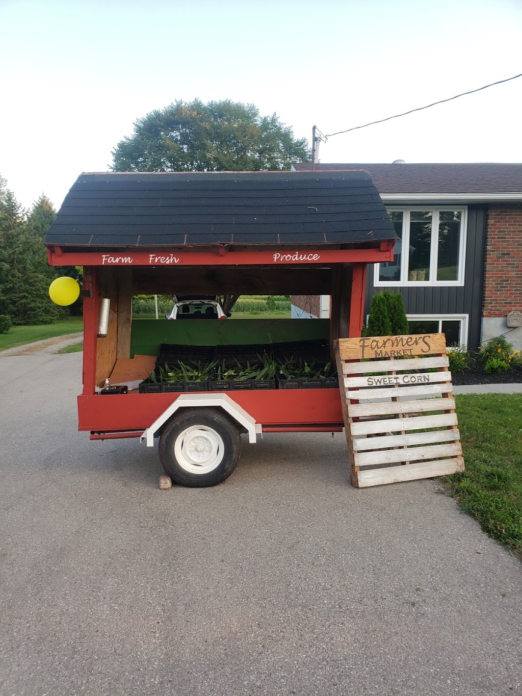 Pondlane Produce | 402 King St W, Ingersoll, ON N5C 3J7, Canada | Phone: (519) 497-1820