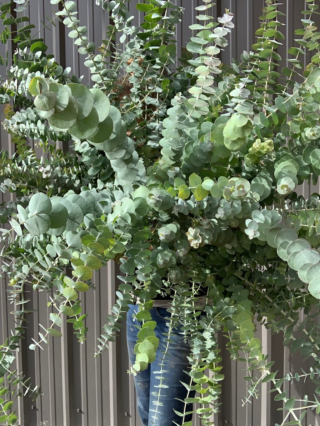 Castledale Flower Farm | 4792 BC-95, Castledale, BC V0A 1H7, Canada | Phone: (250) 272-1881
