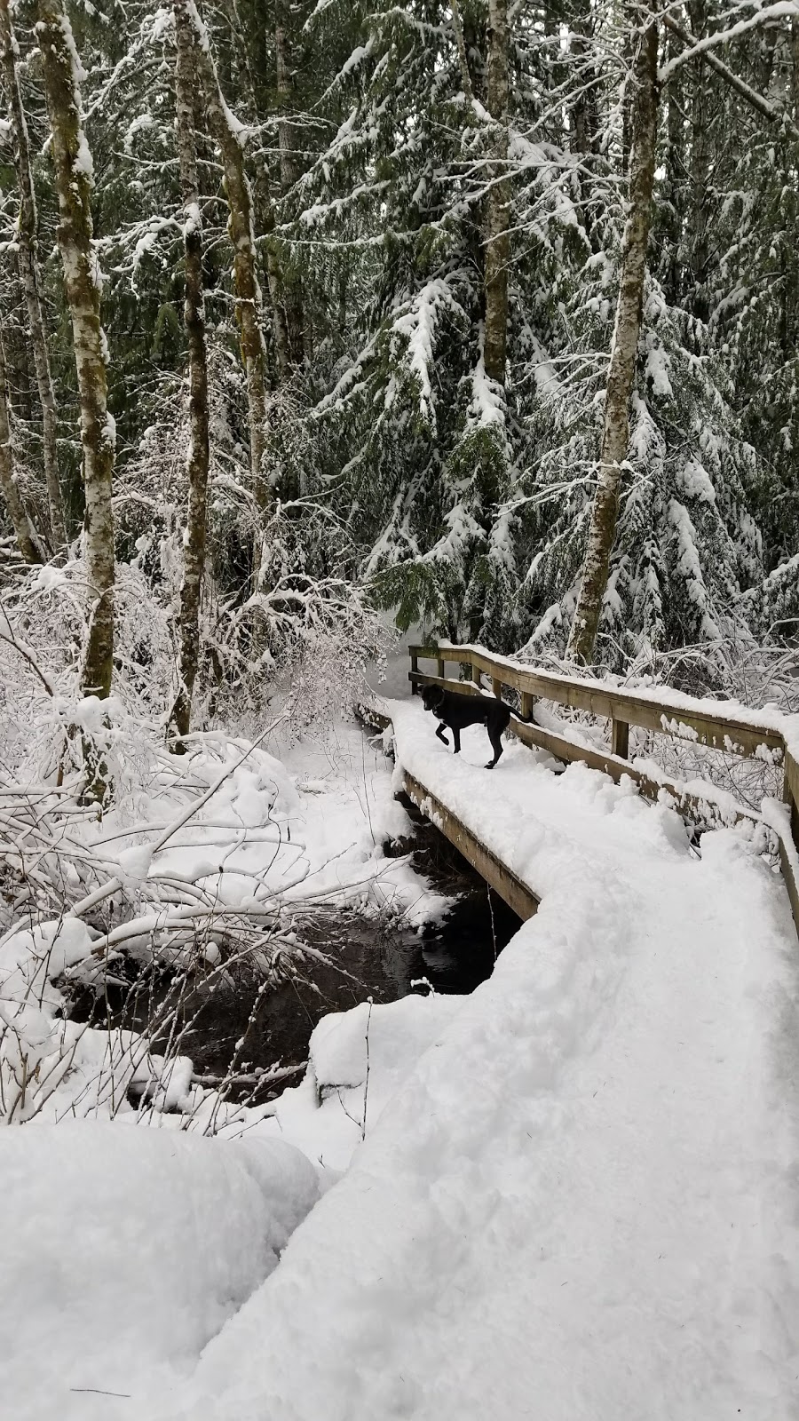 Spectacle Lake Provincial Park | Cowichan Valley B, BC V0R, Canada | Phone: (800) 689-9025