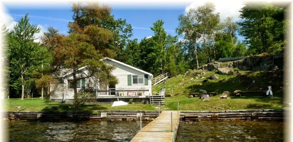 Toronto Dog Boarding | 39 Commissioners St, Toronto, ON M5A 1A6, Canada | Phone: (647) 225-2559