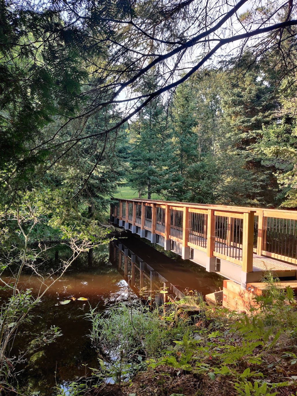 Arching Pines Bed & Breakfast | 9 Bayshore Rd, Haliburton, ON K0M 1S0, Canada | Phone: (705) 306-9296
