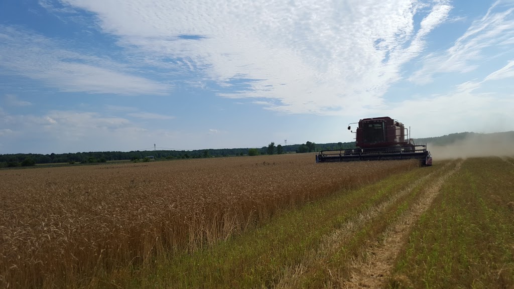 Fermes Longpres Ltee | 1854 Chem. du Fleuve, Les Cèdres, QC J7T 1E4, Canada | Phone: (450) 452-4559
