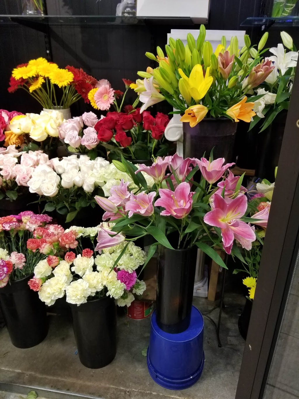 Pacific Florist | 700 Lawrence Ave W #219, North York, ON M6A 3B4, Canada | Phone: (416) 784-0888