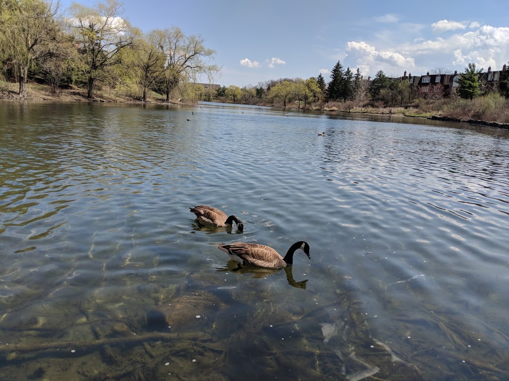 Public bench near pond/lake | 24 Lehar Ct, Brampton, ON L6S 5V1, Canada
