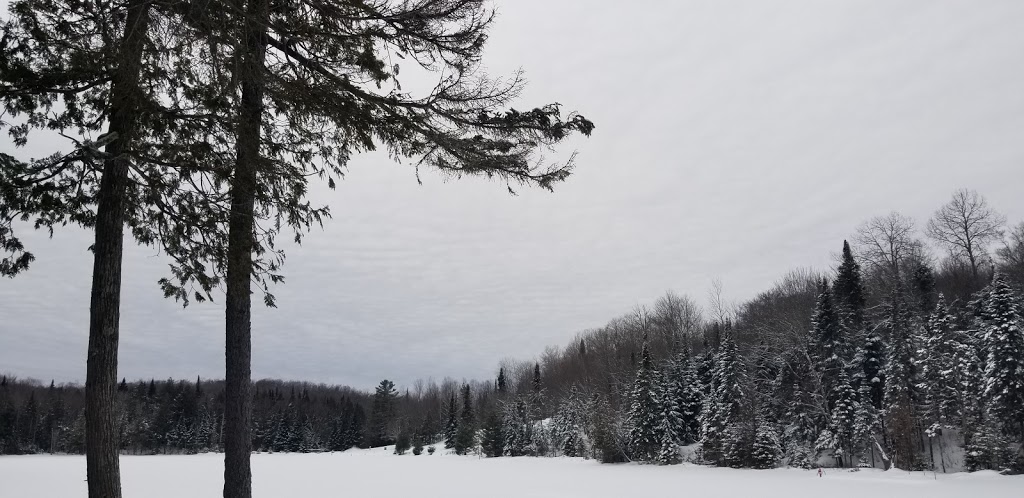 Chalet Totem II (Wynono) Blueberry Lake | 925 Chemin des Pionniers, Labelle, QC J0T 1H0, Canada | Phone: (514) 999-5273