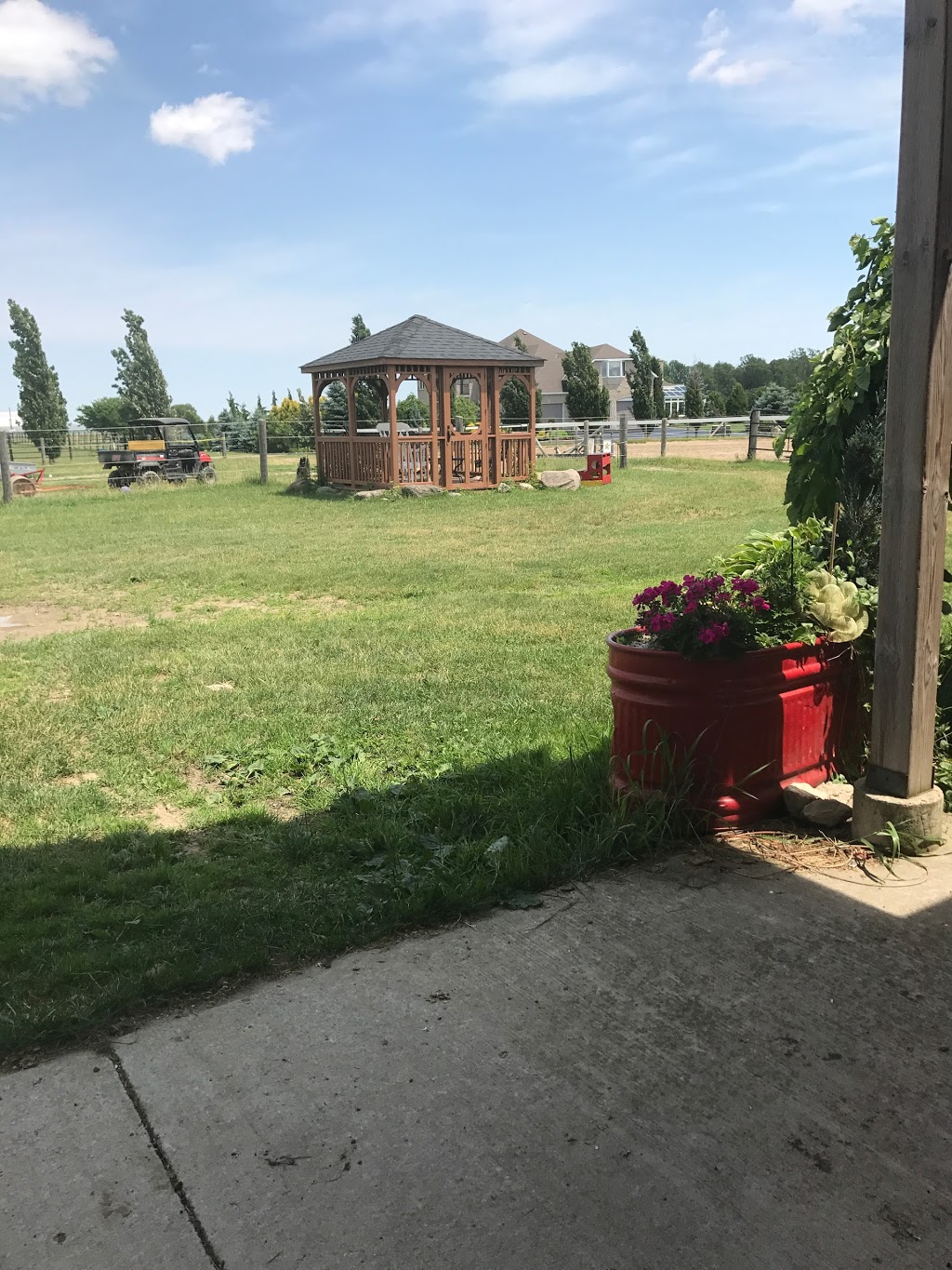 Mahogany Bay Stables | 1072 Concession 11 Townsend, Waterford, ON N0E 1Y0, Canada | Phone: (519) 410-1629
