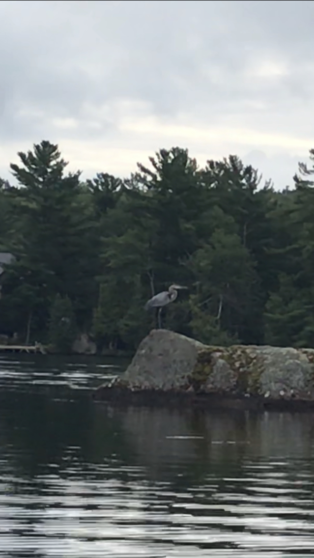 Rockside Cabins | 4674 Peterborough County Rd 36, Buckhorn, ON K0L 1J0, Canada | Phone: (705) 715-2111