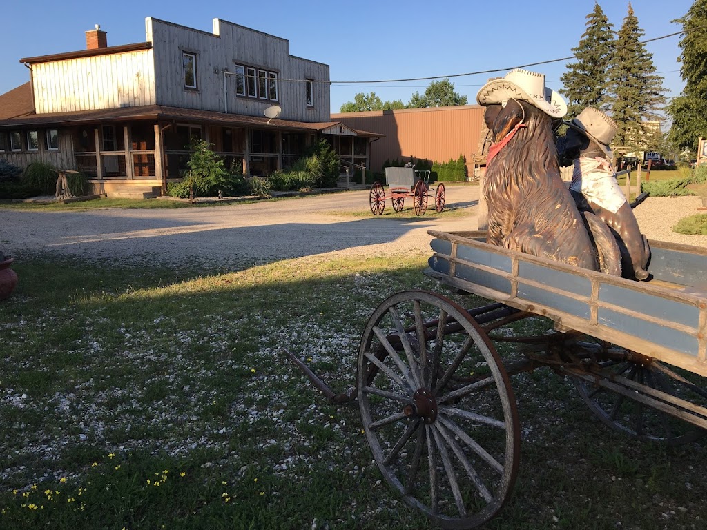 Rovers Ranch Dog Daycare and Boarding | 212 Norfolk St, Stratford, ON N5A 3Z2, Canada | Phone: (519) 271-5121