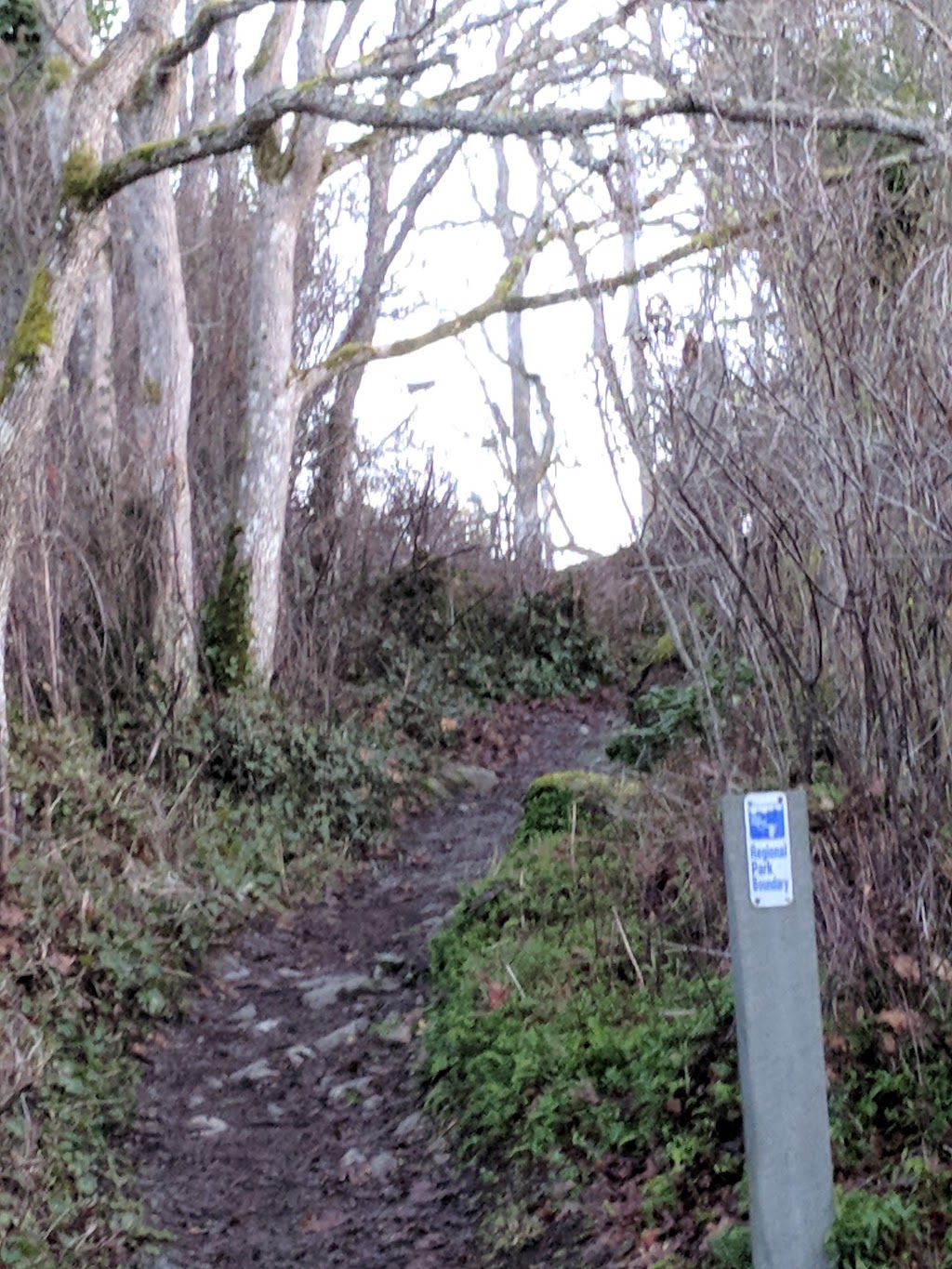 Gonzales Hill Regional Park | Denison Rd, Victoria, BC V8S 4K3, Canada | Phone: (250) 360-3000
