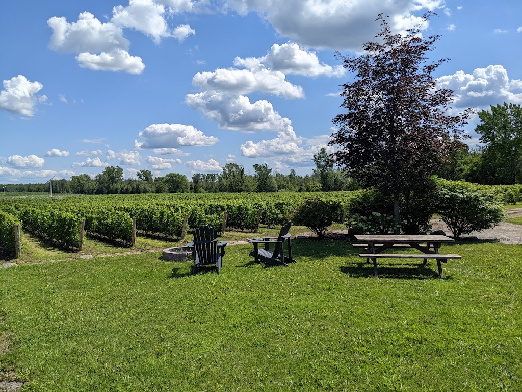 Le Vignoble Du Domaine St-Jacques | 615 Bd Édouard Vii, Saint-Jacques-le-Mineur, QC J0J 1Z0, Canada | Phone: (450) 346-1620