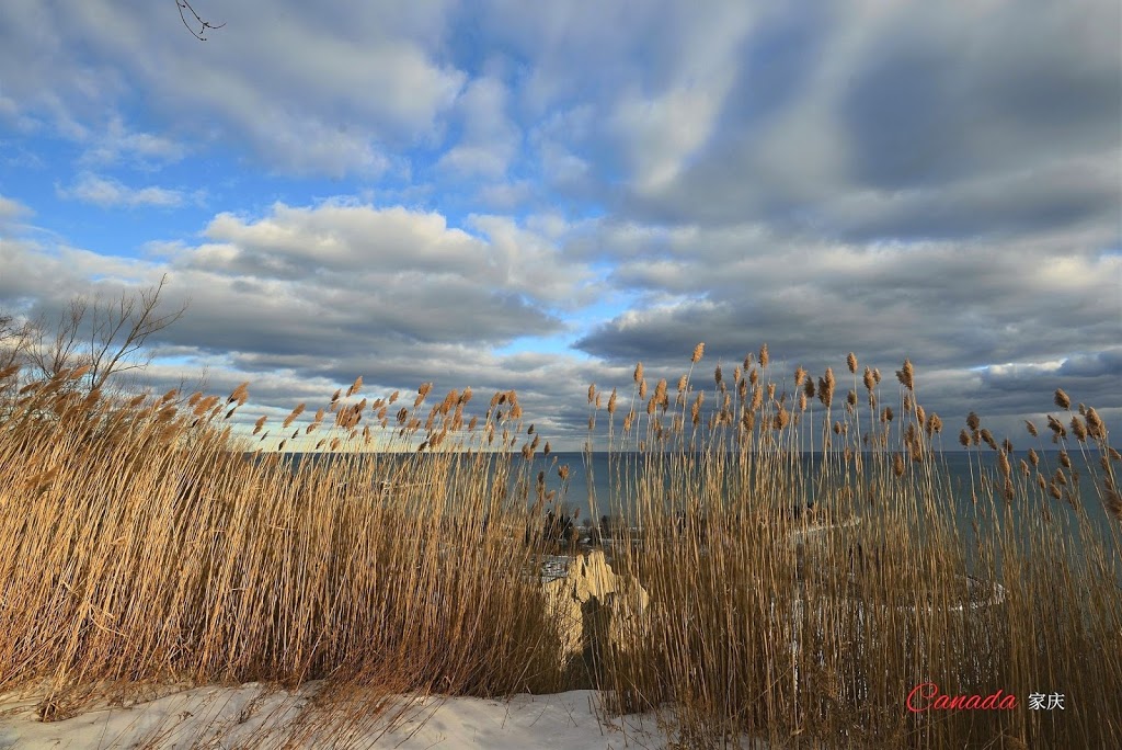 Bluffs Lookout | Cliffside, Toronto, ON M1M 1A4, Canada