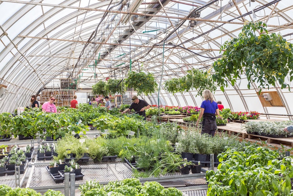 Rehoboth Garden Centre & Wood Products | 1222 20th St, Coaldale, AB T1M 1N1, Canada | Phone: (403) 345-5199