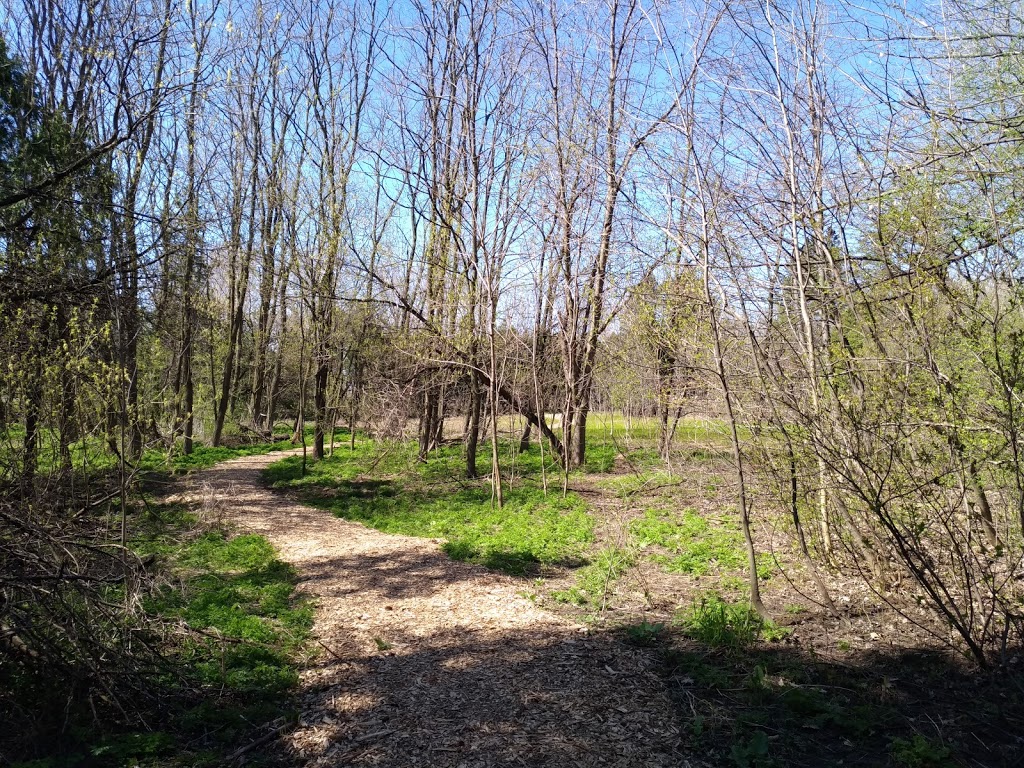 Arboretum Stephen-Langevin | Chemin de la Côte den Bas, Boucherville, QC J3V 6P4, Canada