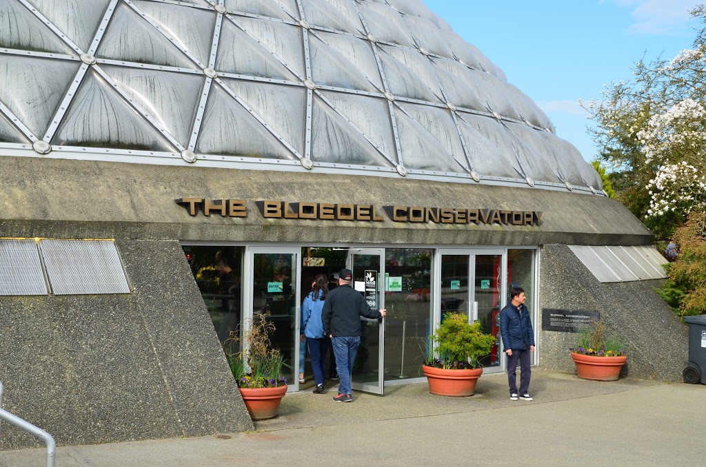 Bloedel Conservatory | 4600 Cambie St, Vancouver, BC V5Y 2M4, Canada | Phone: (604) 257-8584
