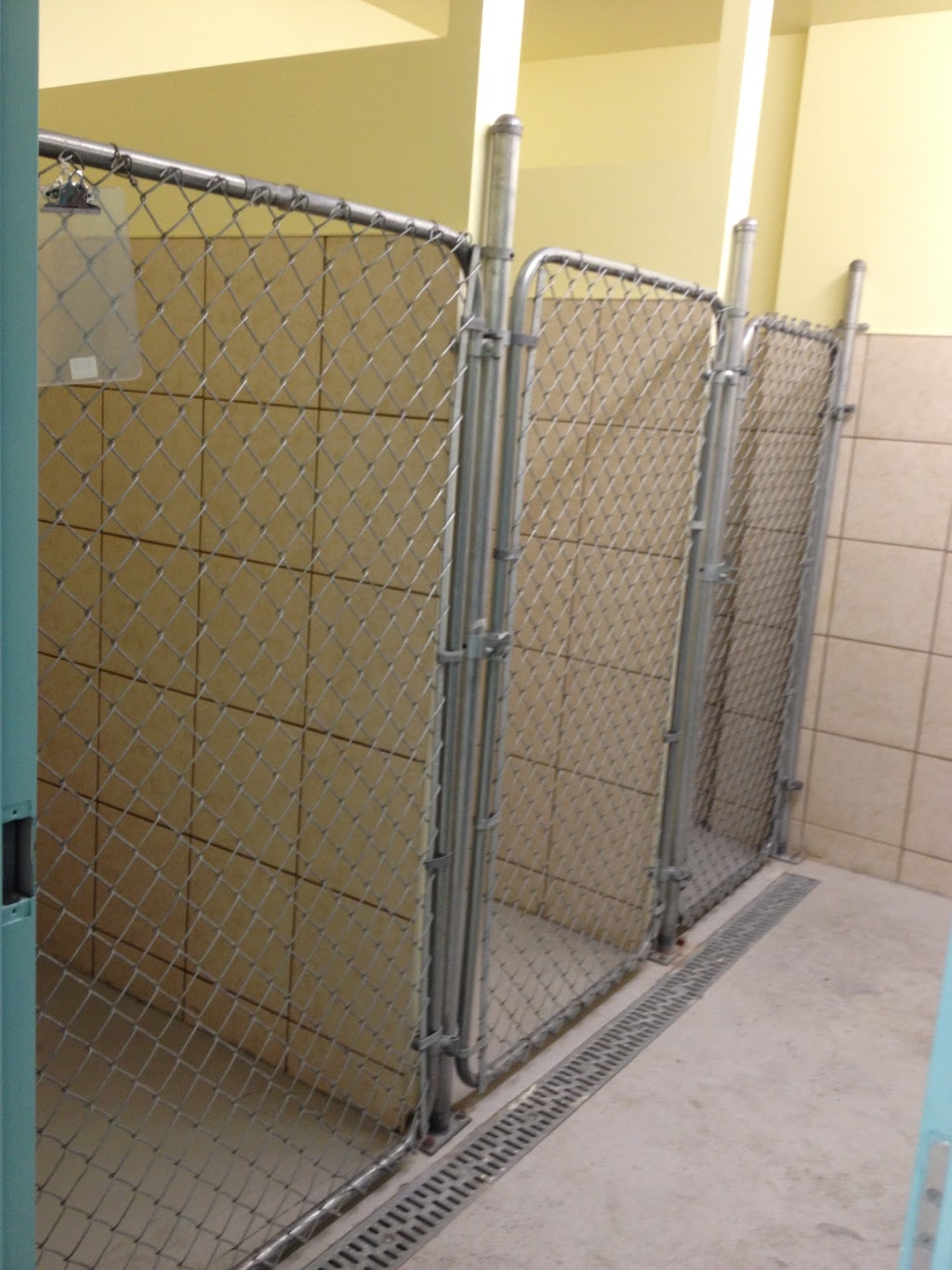 Cabana @ Howard Pet Hospital | 511 Cabana Rd E, Windsor, ON N9G 1A5, Canada | Phone: (519) 250-5200