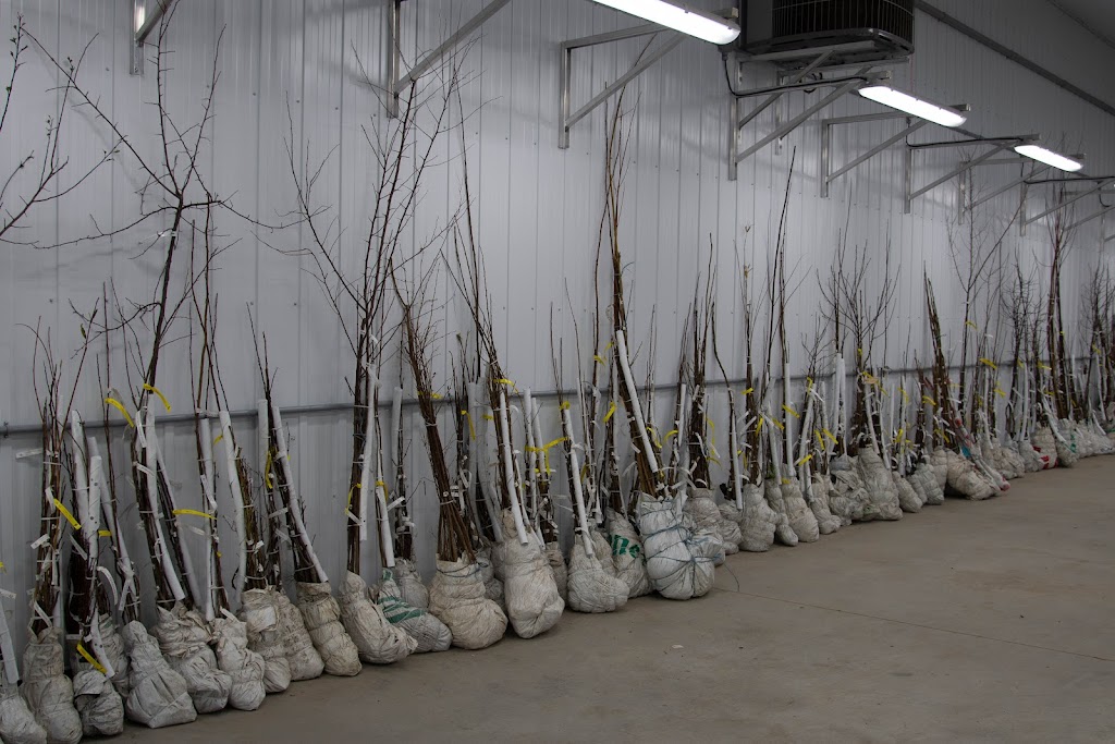 Hardy Fruit Tree Nursery | 5094 QC-125, Rawdon, QC J0K 1S0, Canada | Phone: (514) 418-4109