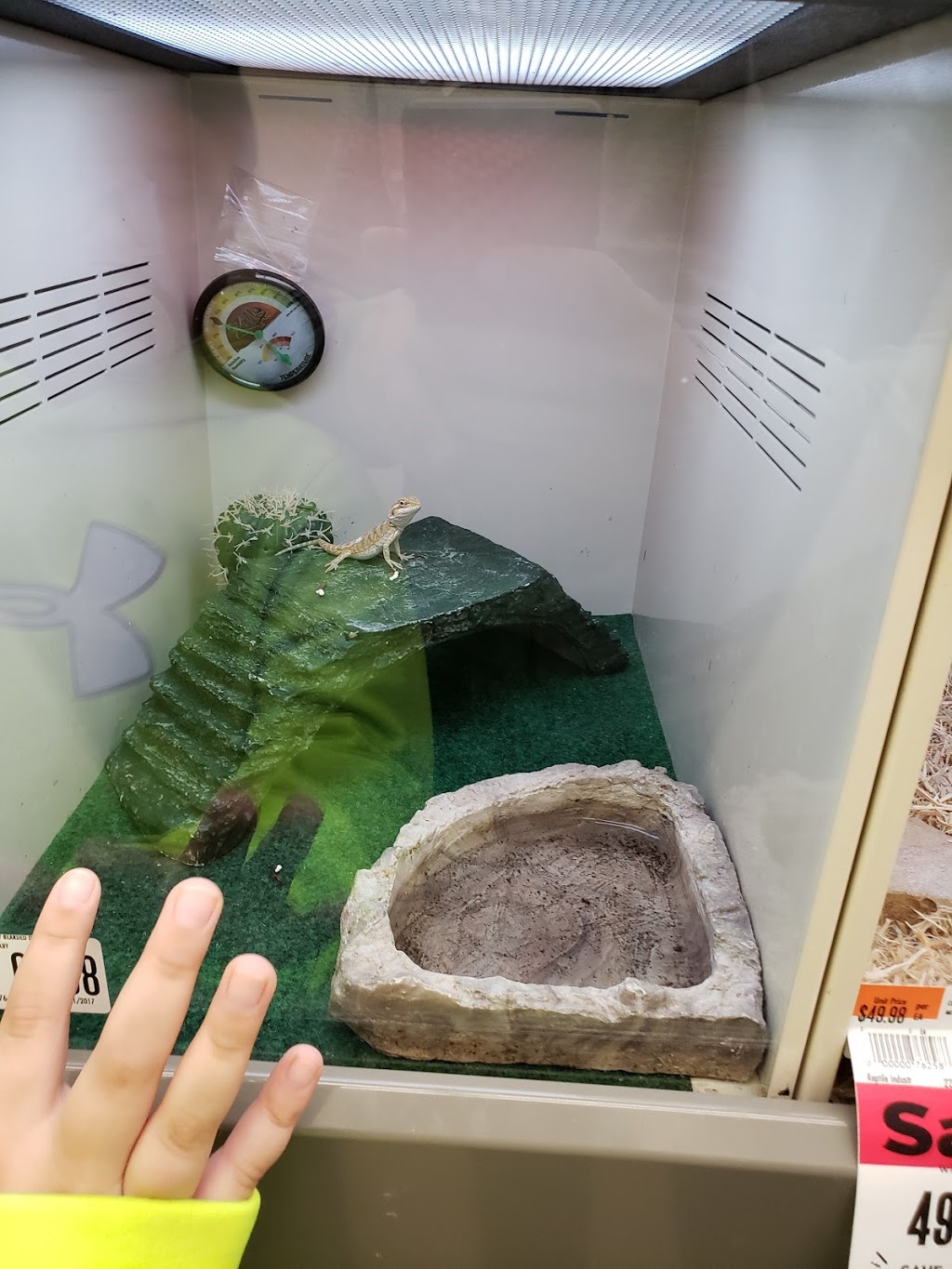 Pet Supplies Plus | 9630 Transit Rd #400, East Amherst, NY 14051, USA | Phone: (716) 689-9190