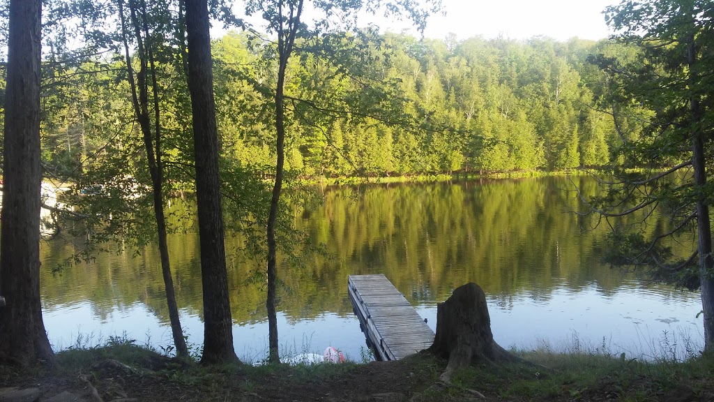 Woodland park | 1026 Hummingbird Ln, Arden, ON K0H 1B0, Canada | Phone: (613) 335-3240