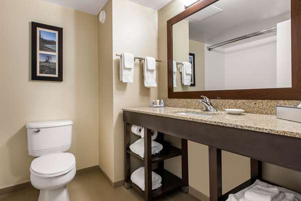 Comfort Inn & Suites | 6846 66 St, Red Deer, AB T4P 3T5, Canada | Phone: (403) 348-0025