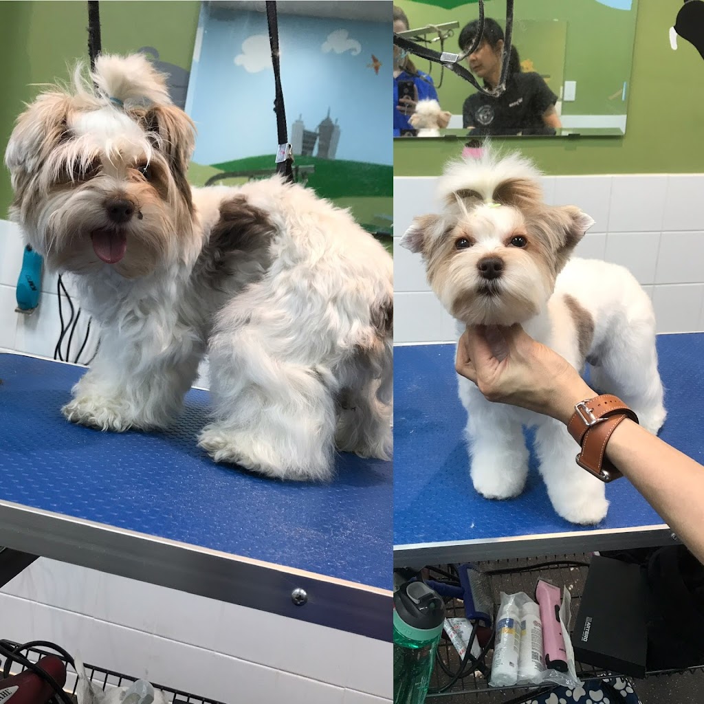 K9 Clippers | 14 Industrial Park Rd, Haliburton, ON K0M 1S0, Canada | Phone: (289) 383-5964
