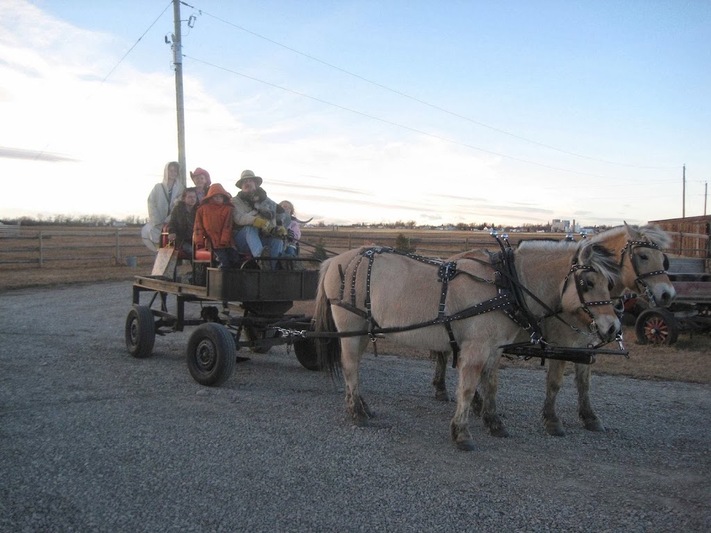 Belly Acres Lodge | 270002, AB-505, Glenwood, AB T0K 2R0, Canada | Phone: (403) 330-9808