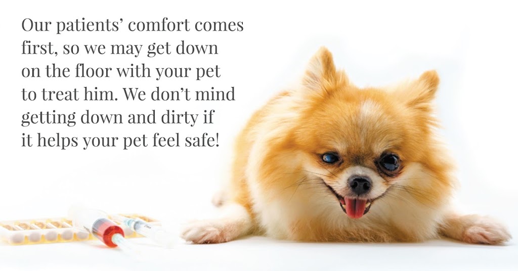 Seven Oaks Veterinary Hospital | 1832 Main St, Winnipeg, MB R2V 3H2, Canada | Phone: (204) 334-7531
