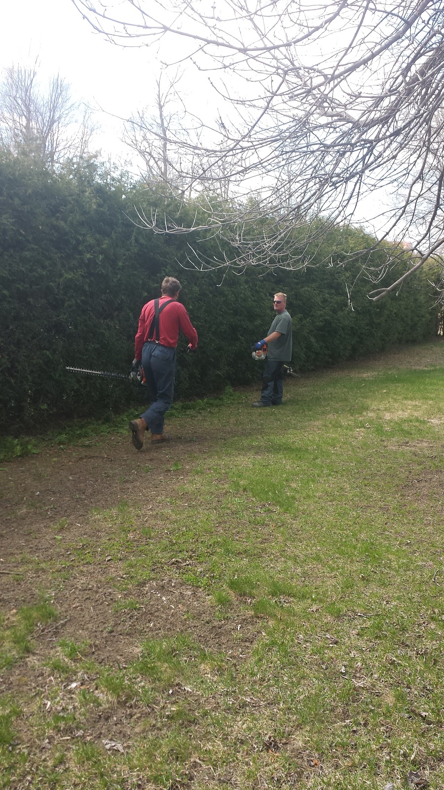 Greely Tree Services | 7022 Donwel Dr, Greely, ON K4P 1B9, Canada | Phone: (613) 574-0247