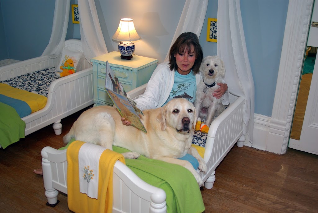 Our Dog Spot | 101 Hollands Rd, Greater Napanee, ON K7R 3K8, Canada | Phone: (613) 354-7682