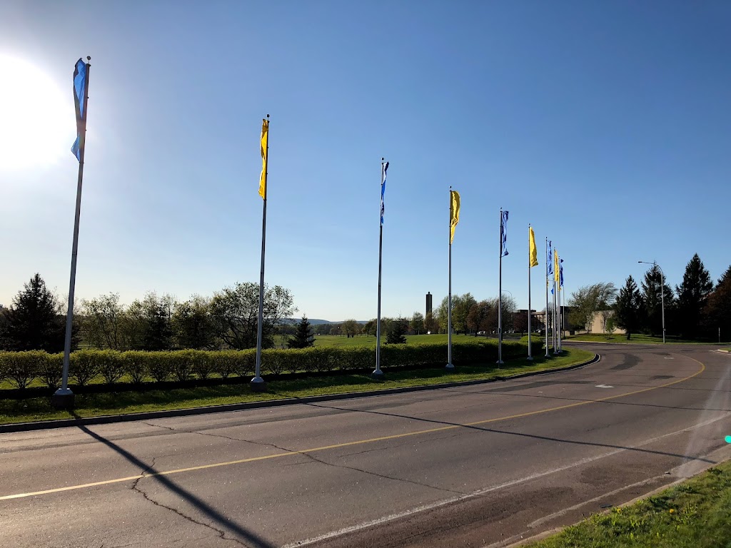 Université de Moncton | 18 Antonine-Maillet Ave, Moncton, NB E1A 3E9, Canada | Phone: (506) 858-4000