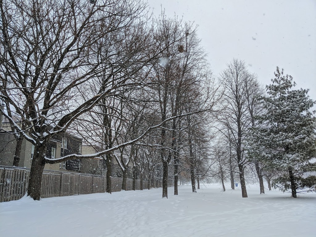 Fountainhead Park | 445 Sentinel Rd, North York, ON M3J 2T6, Canada | Phone: (416) 392-2489