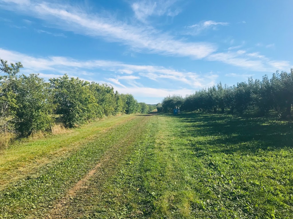 Willowbank U-Pick Farm | Starrs, 110 Starrs Point Loop, Port Williams, NS B0P 1T0, Canada | Phone: (902) 542-9153