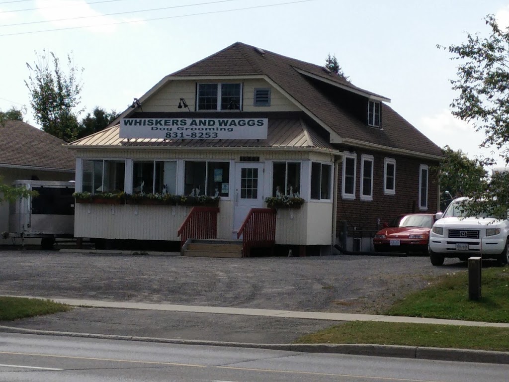 Whiskers And Waggs | 1644 Main Street South, Stittsville, ON K2S 1P3, Canada | Phone: (613) 831-8253