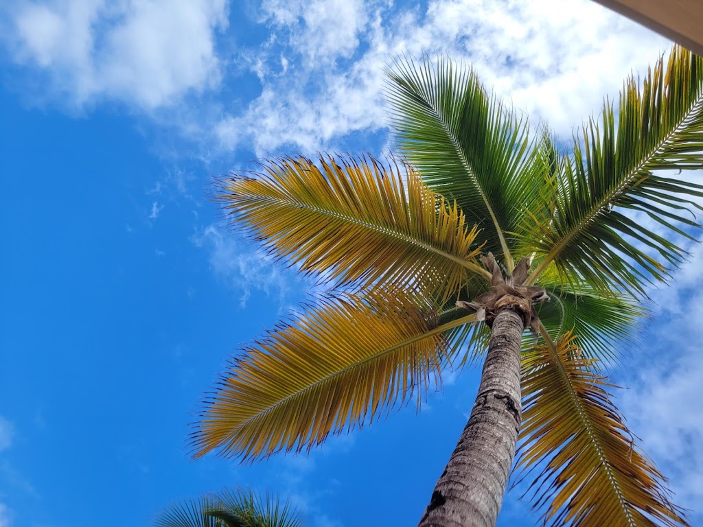 Fun In Paradise Travel by Katherine Poon | 620 Thistlewood Dr, London, ON N5X 0A9, Canada | Phone: (519) 902-0829