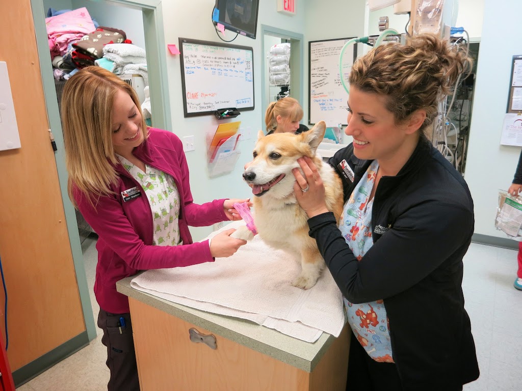 Foothills Animal Hospital | 34 Southridge Dr #6, Okotoks, AB T1S 2G5, Canada | Phone: (403) 938-3791