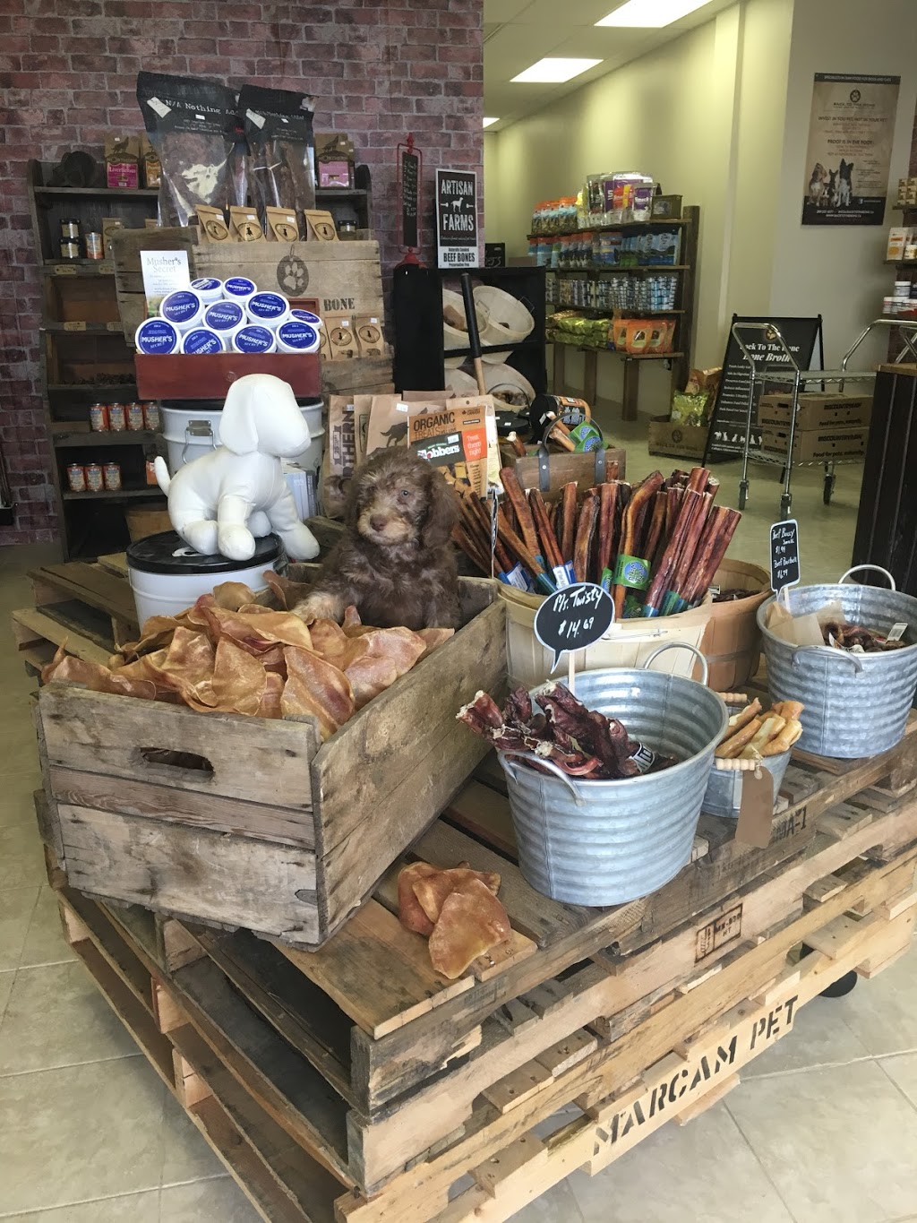 Back To The Bone Inc, | 380 Dundas St E #2D, Oakville, ON L6H 6Z9, Canada | Phone: (905) 257-3444