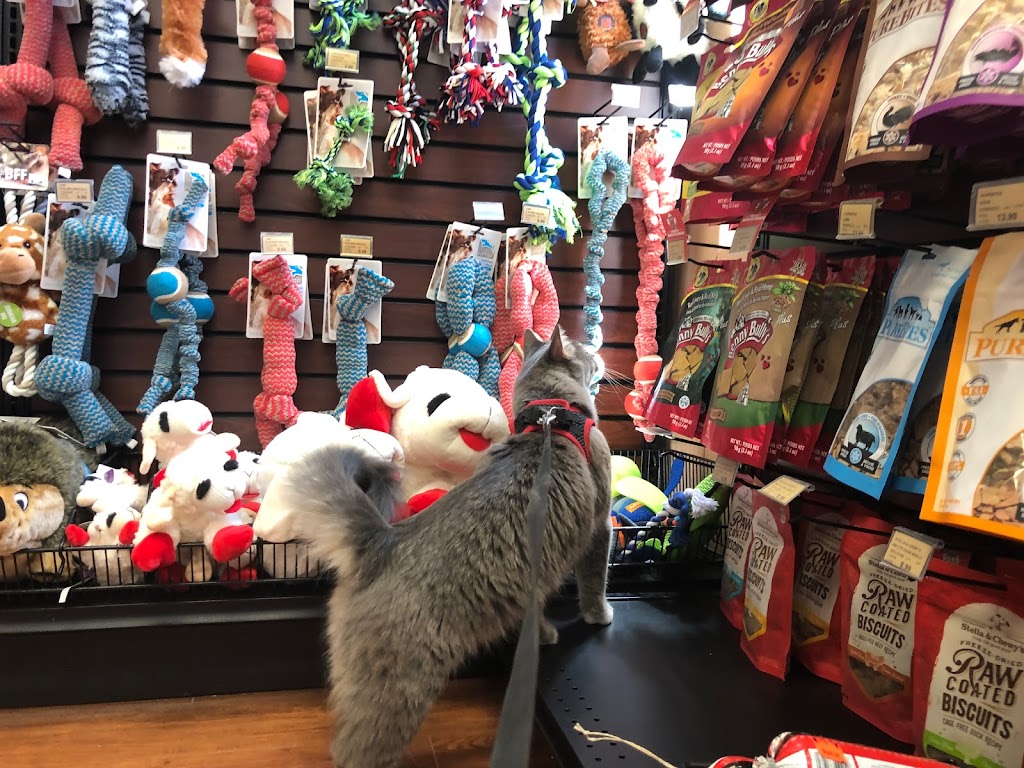 Pet Valu | 165 Wellington St W, Barrie, ON L4N 1L7, Canada | Phone: (705) 726-1721