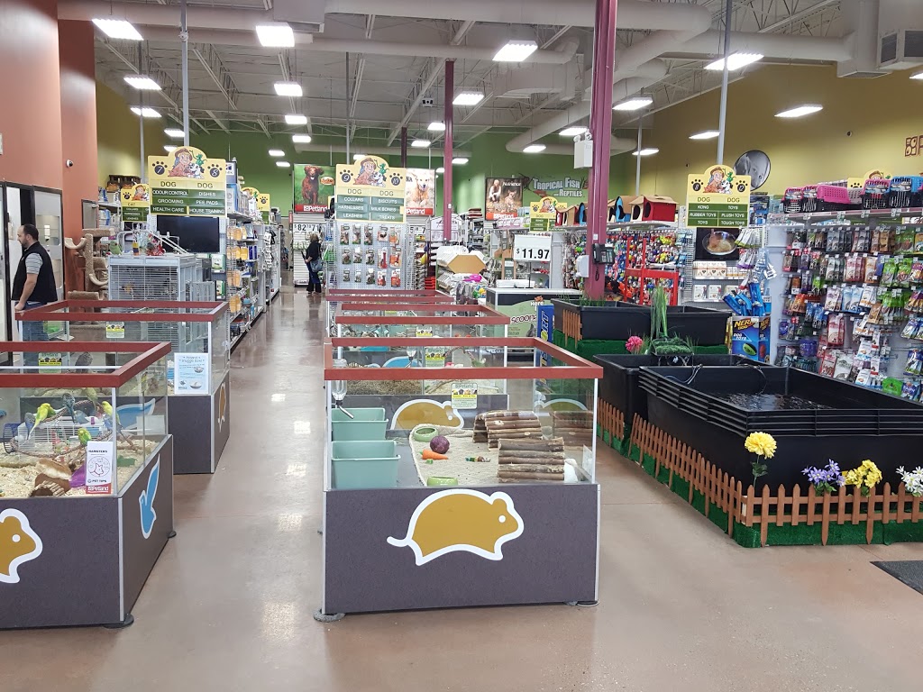 Petland Manning | 15526 37 St NW, Edmonton, AB T5Y 0S5, Canada | Phone: (780) 475-5399