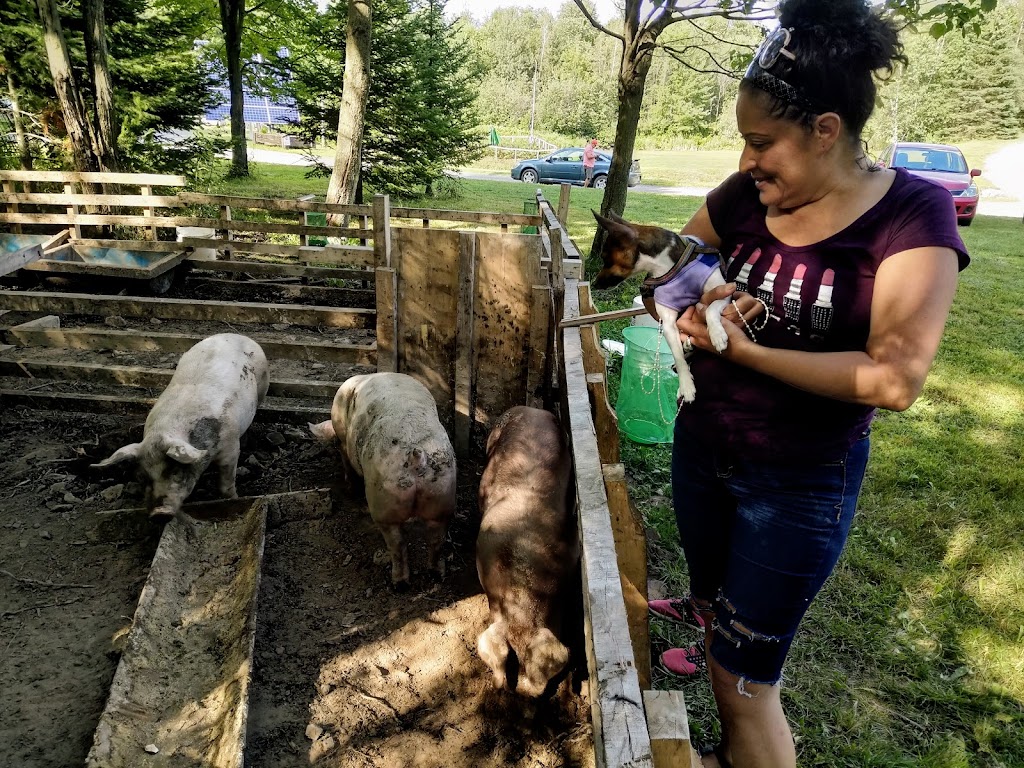 Ferme Colibri Ltee | 573 9e Rang, Wickham, QC J0C 1S0, Canada | Phone: (819) 398-7997